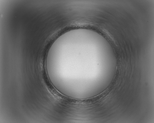 X0000072540640200607141037