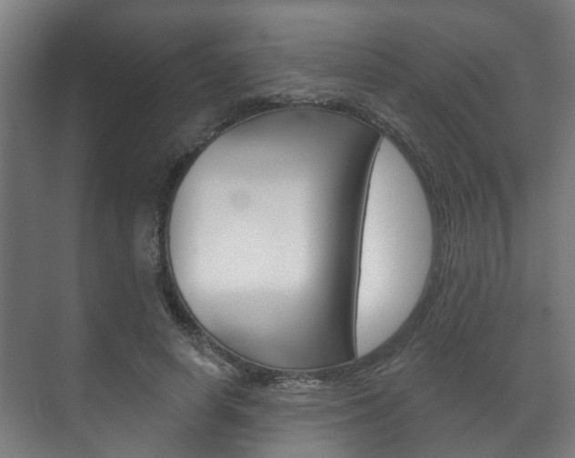 X0000072540642200607141037