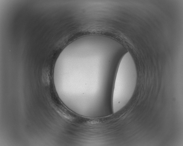 X0000072540644200607141037