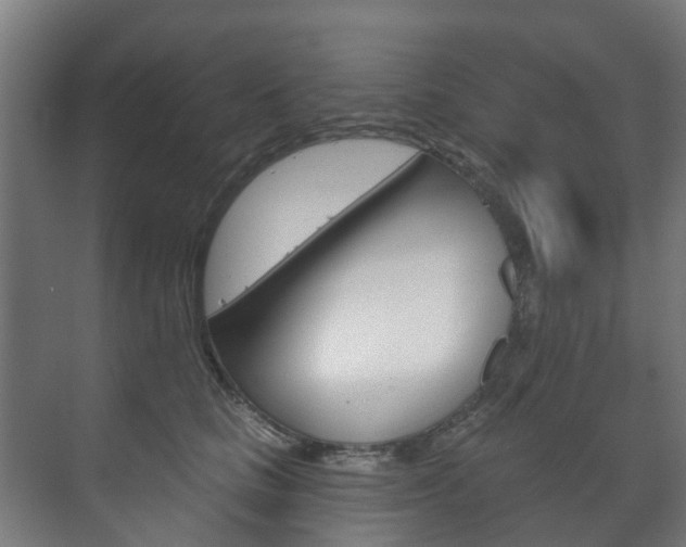 X0000072540661200607141037
