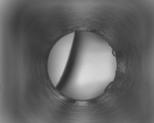 X0000072540665200607141037