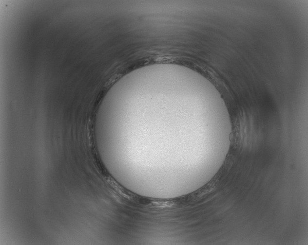 X0000072540667200607141037