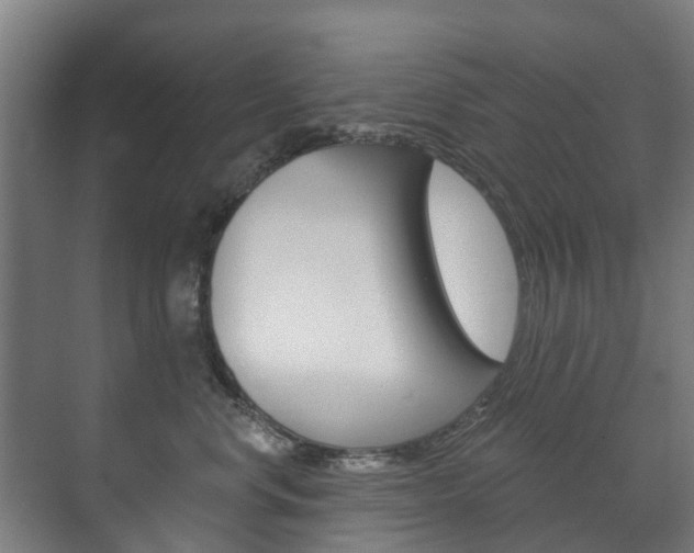 X0000072540668200607141037