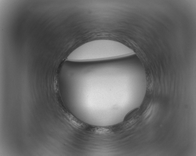 X0000072540669200607141037