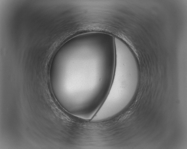 X0000072540673200607141037