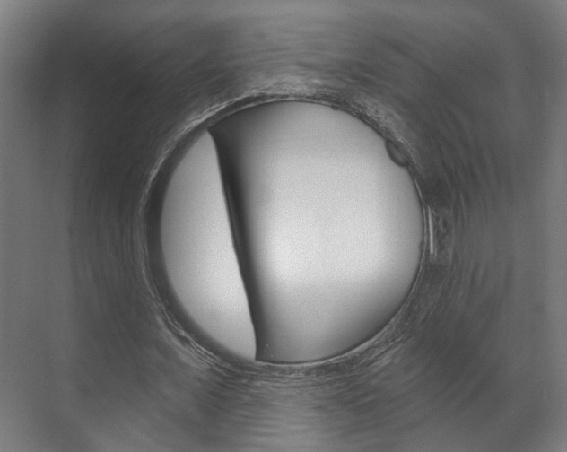 X0000072540675200607141037