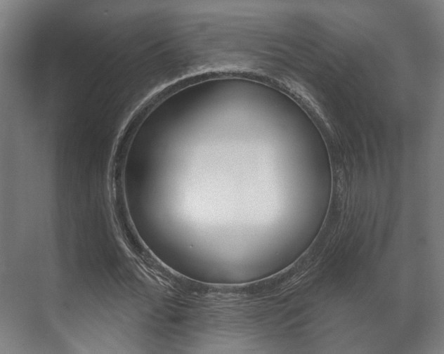 X0000072540676200607141037