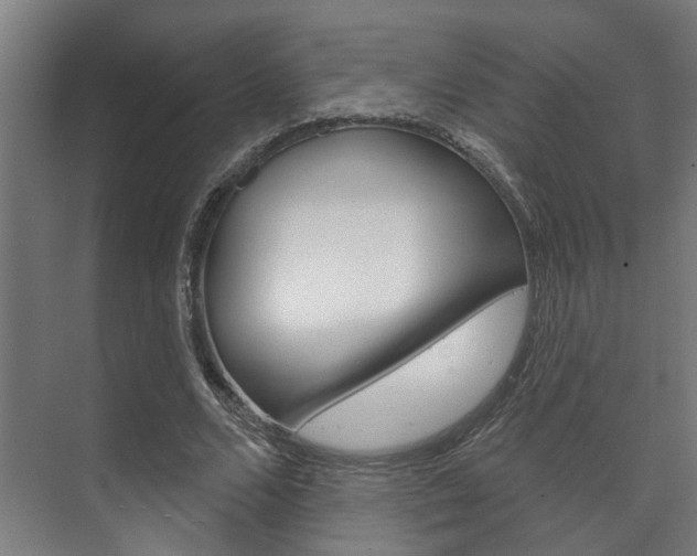 X0000072540680200607141037