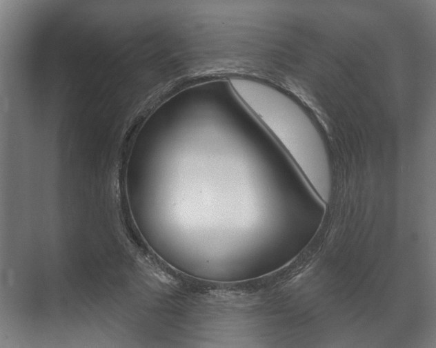 X0000072540681200607141037