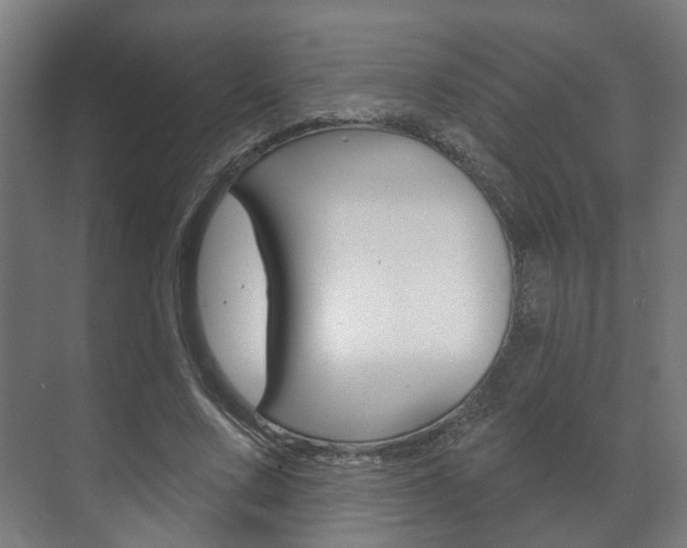 X0000072540683200607141037