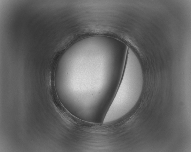 X0000072540685200607141037