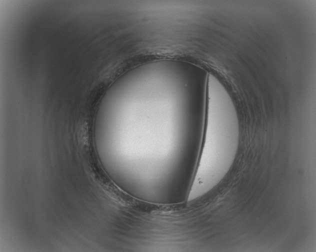 X0000072540689200607141036