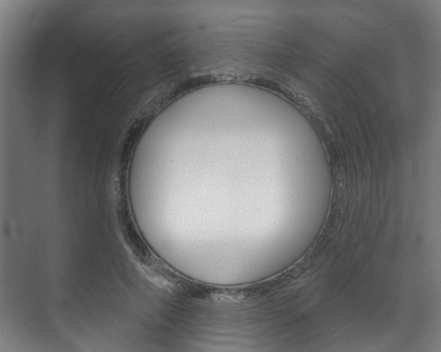 X0000072540690200607141036