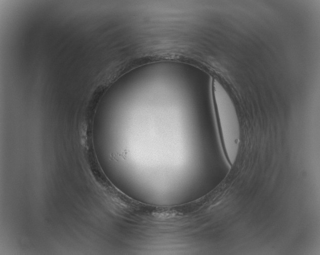 X0000072540693200607141036