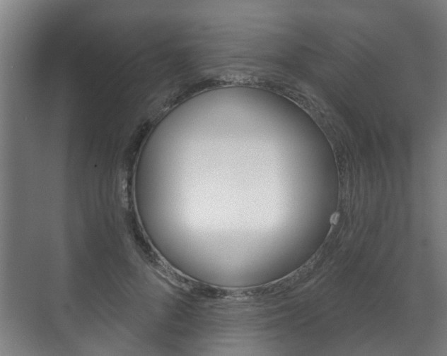 X0000072540696200607141036