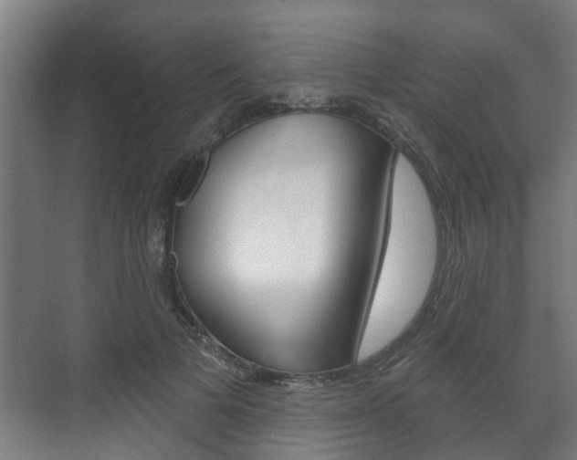 X0000072540697200607141036
