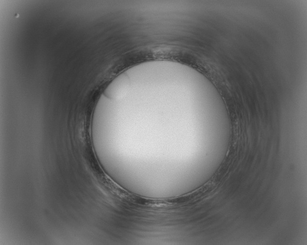 X0000072540698200607141036