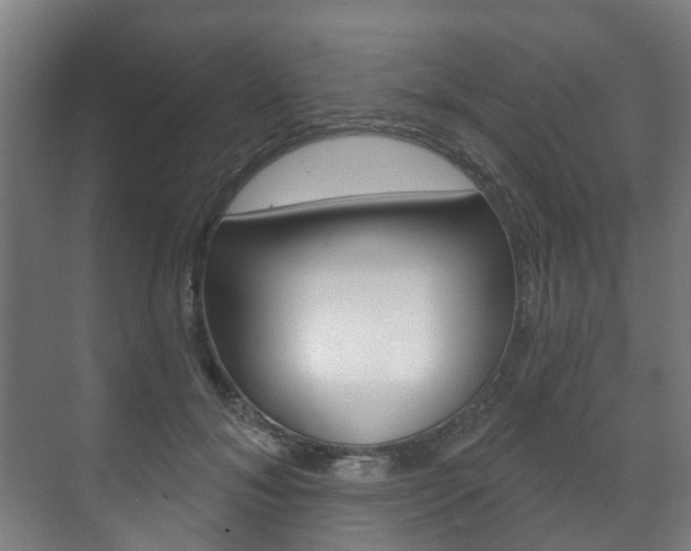 X0000072540700200607141036