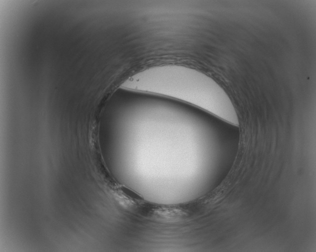 X0000072540712200607141036