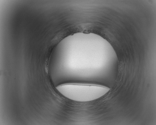 X0000072540719200607141036