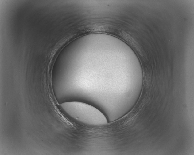 X0000072540721200607141035