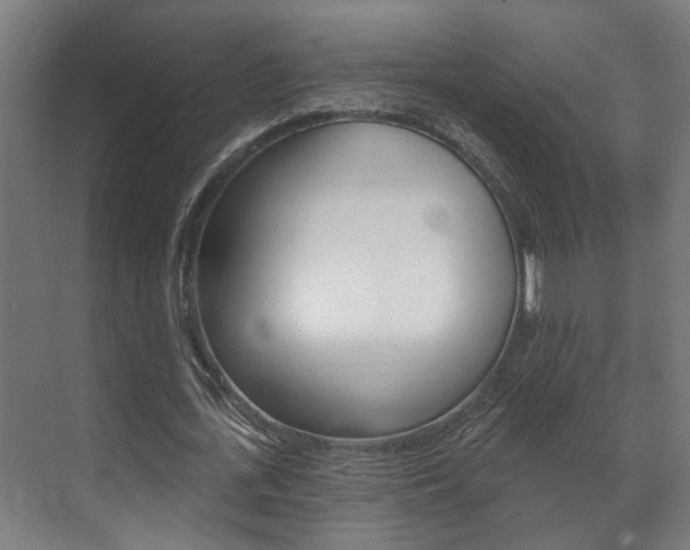 X0000072540723200607141035
