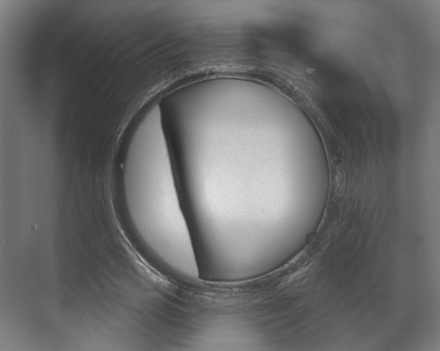 X0000072540725200607141035