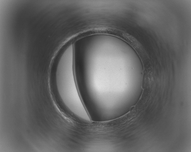 X0000072540728200607141035