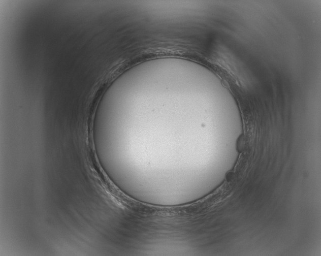 X0000072540729200607141035
