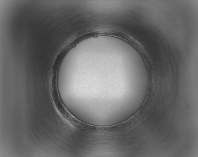 X0000072540730200607141035