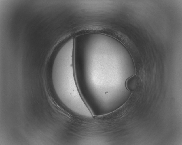 X0000072540731200607141035