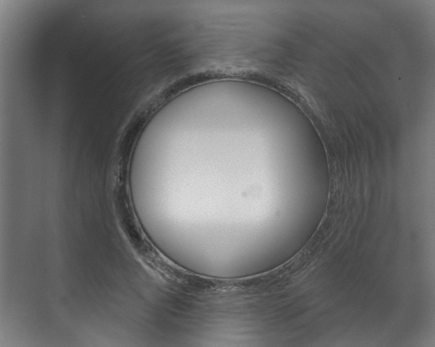 X0000072540736200607141035