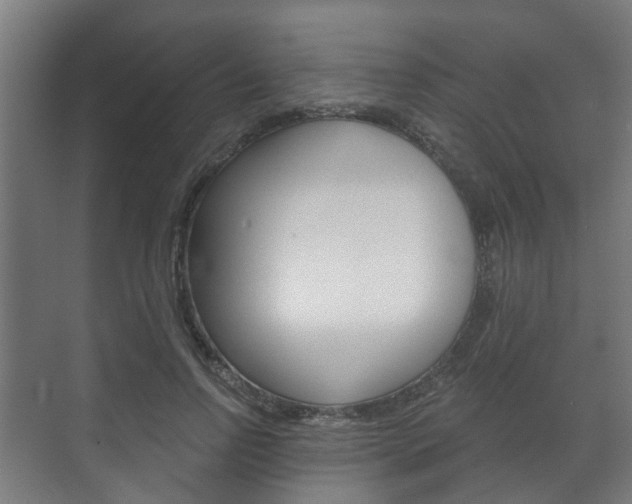 X0000072540742200607141035