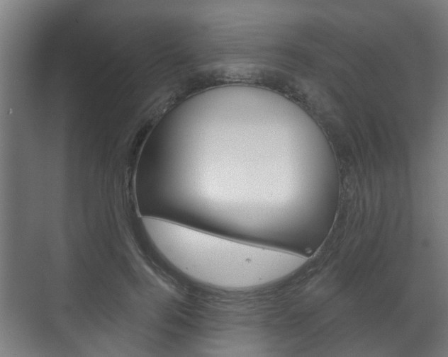 X0000072540744200607141036