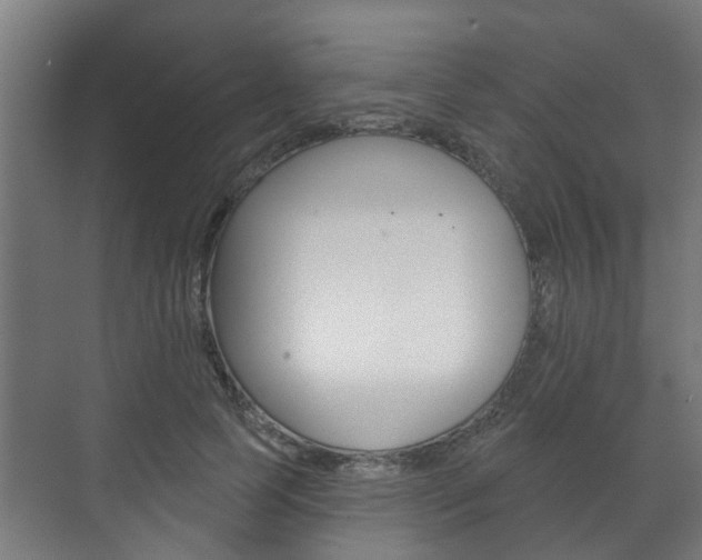 X0000072540745200607141036