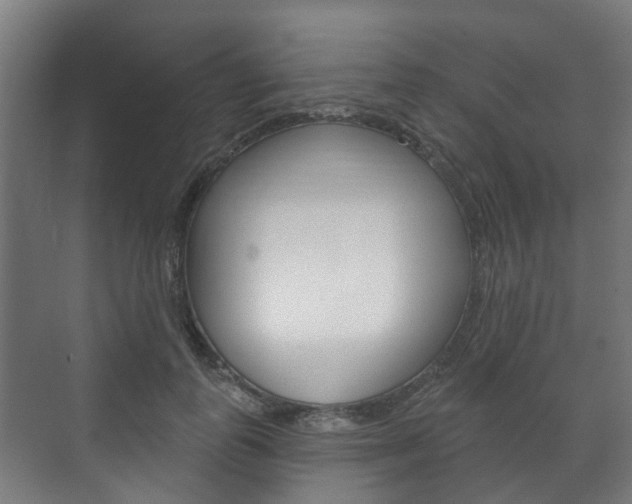 X0000072540747200607141036