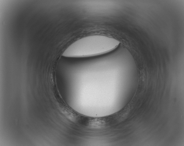 X0000072540754200607141036