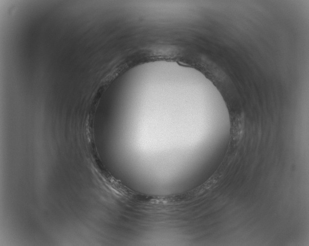 X0000072540764200607141036