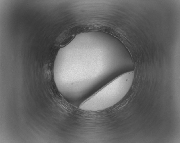 X0000072540771200607141035
