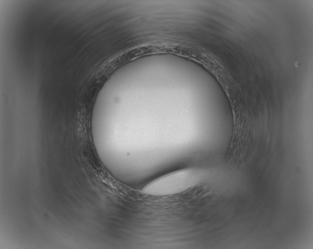 X0000072540773200607141035
