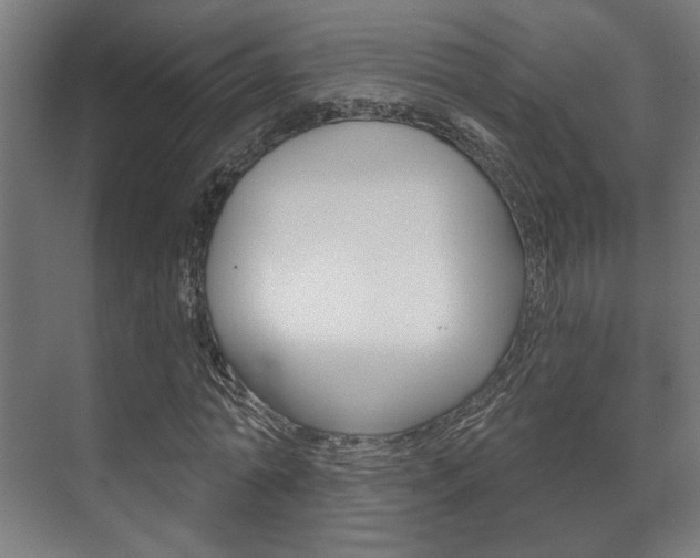 X0000072540774200607141035