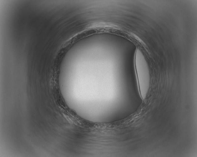 X0000072540775200607141035