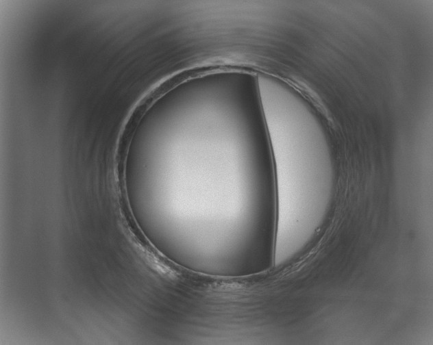 X0000072540784200607141035
