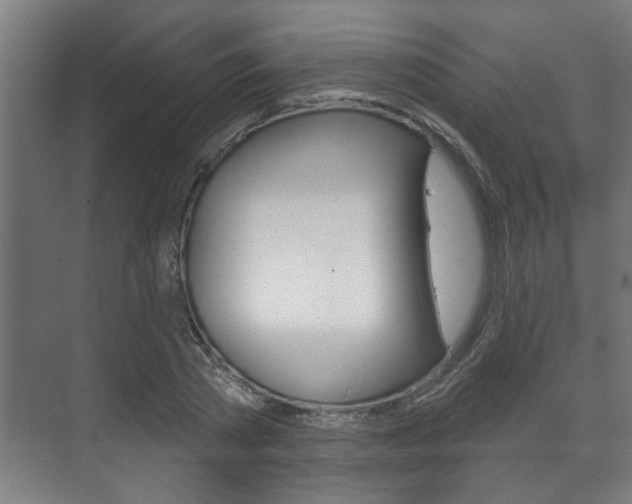 X0000072540785200607141035