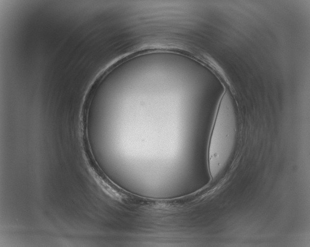 X0000072540787200607141035