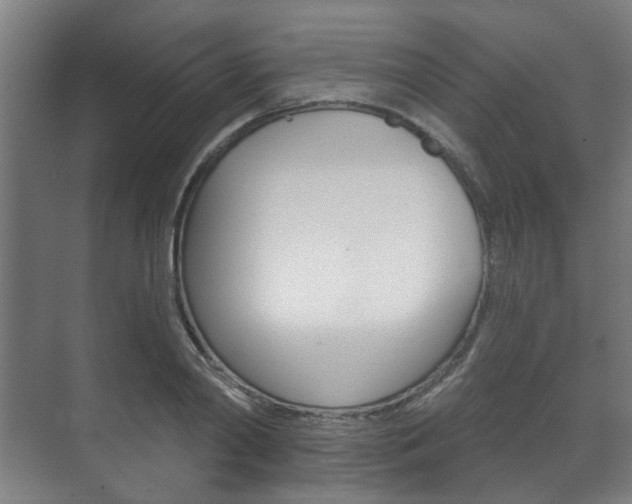 X0000072540790200607141035