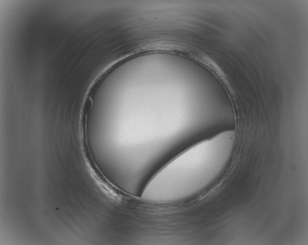 X0000072540795200607141035