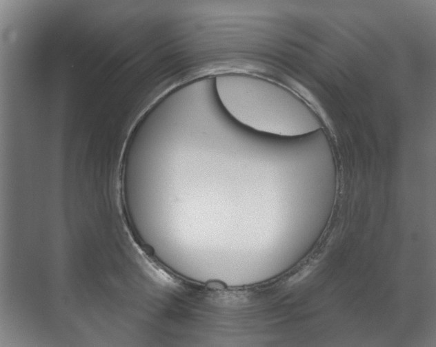 X0000072540802200607141035