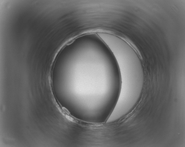 X0000072540813200607141034