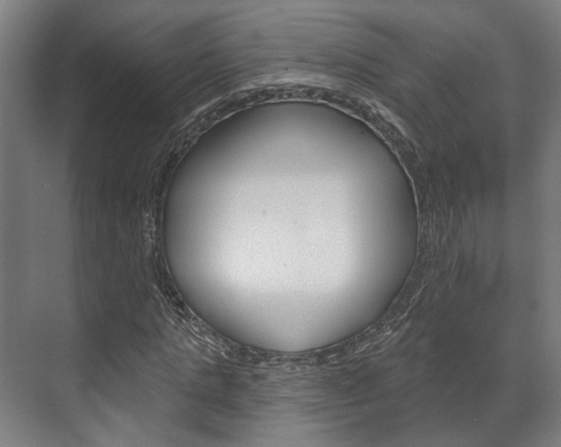 X0000072540821200607141034